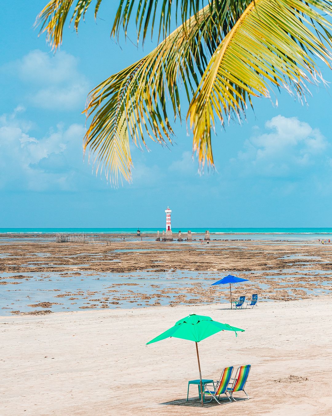 Por que Maceió é o destino perfeito para suas férias de final de ano?